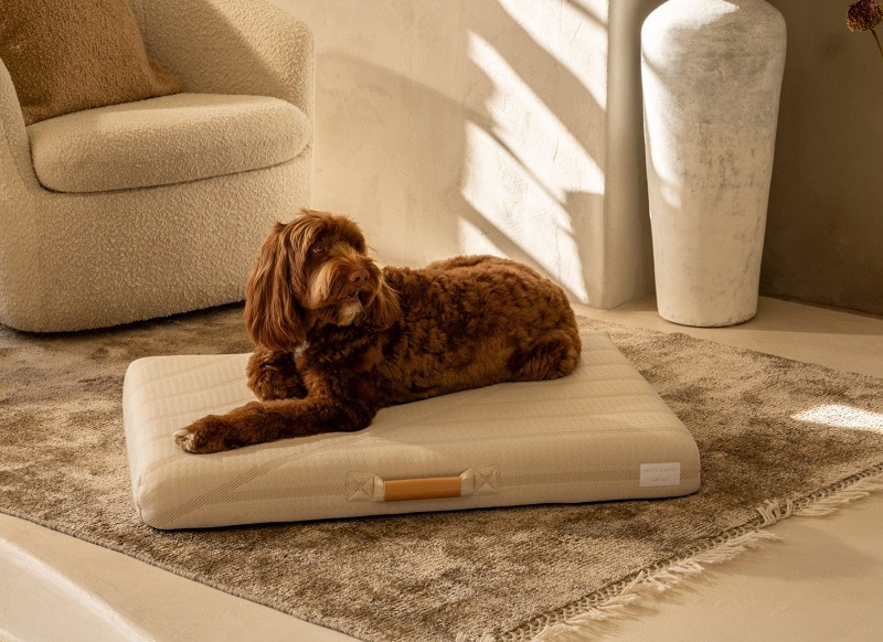 Lay Lo Brigette Romanek Luxury Dog Bed 