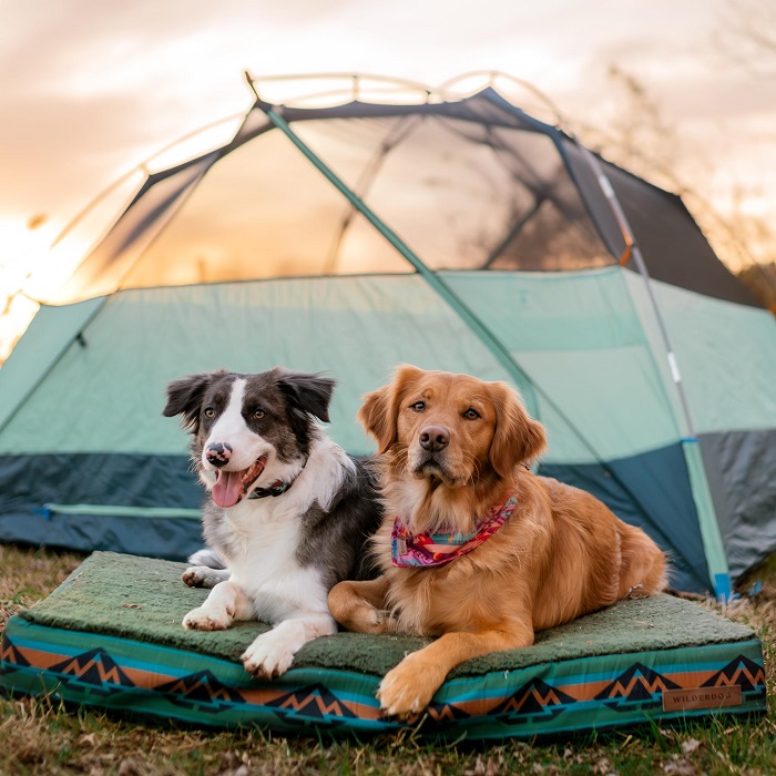 Wilderdog Travel Bed