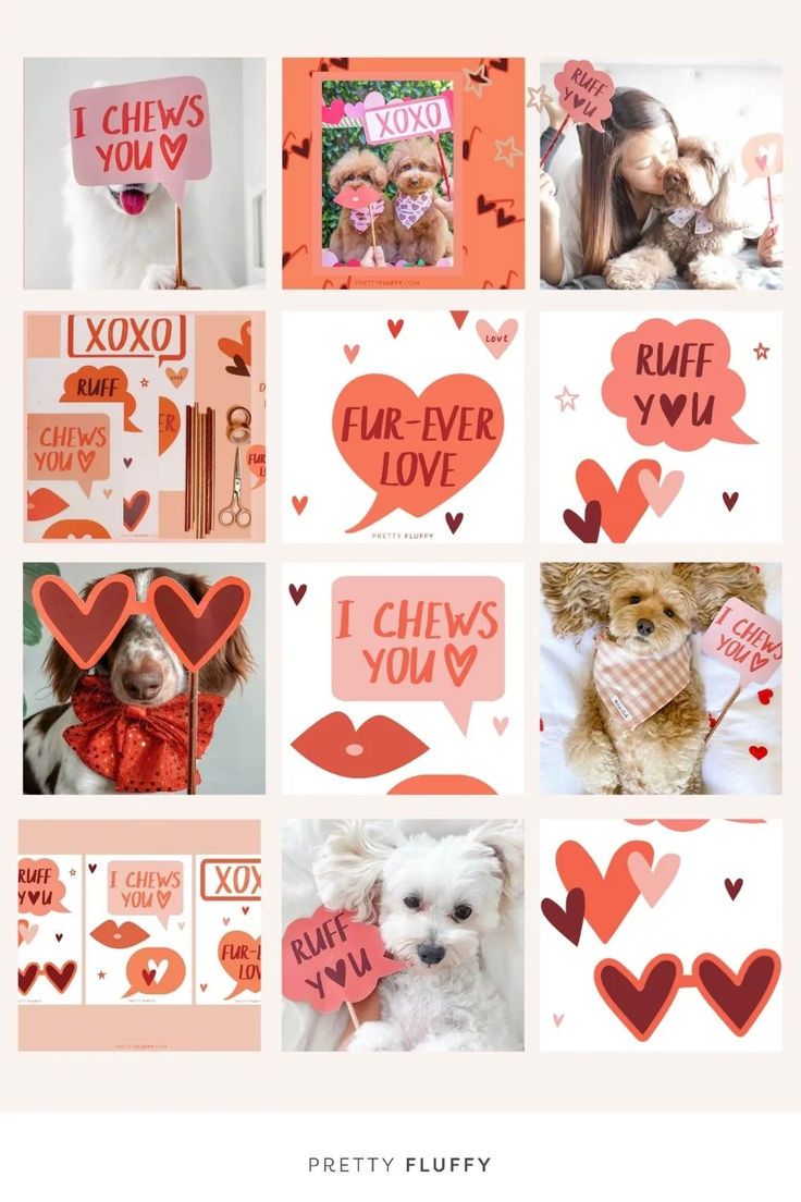Dog Valentine's Day Photo Shoot - Free Valentine's Day Photo Booth Printables