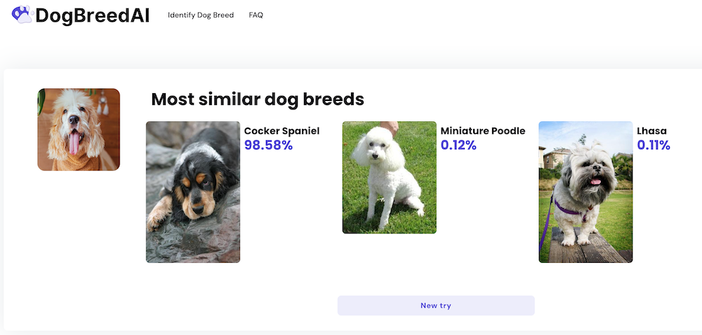 AI dog breed detector results for cocker spaniel using Dog Breed AI