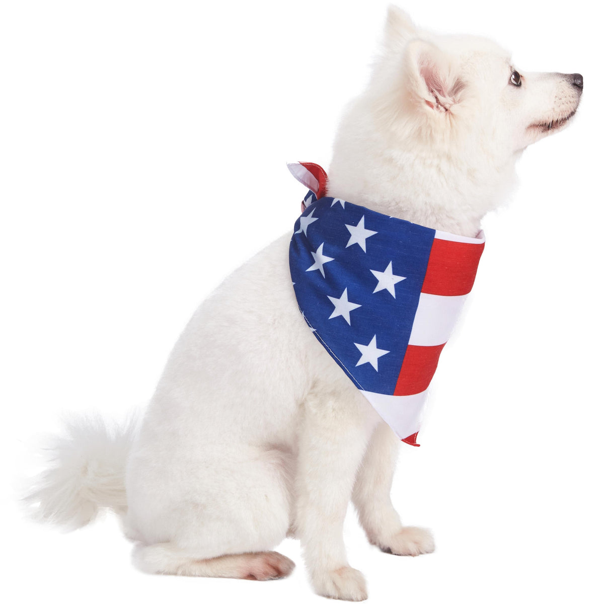 Blueberry Pet American Flag Dog Bandana