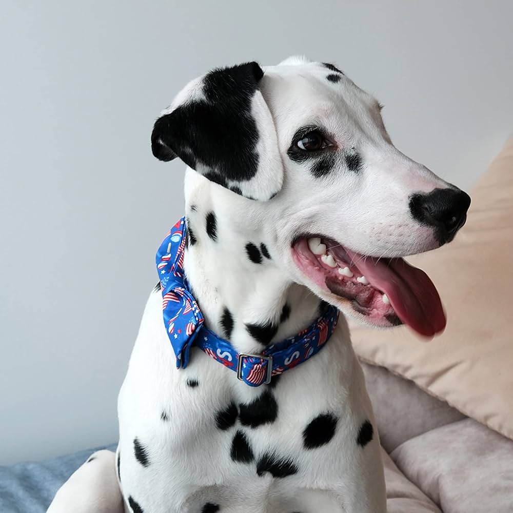 Lionet Paws 4th of July Dog Collar with Bowtie