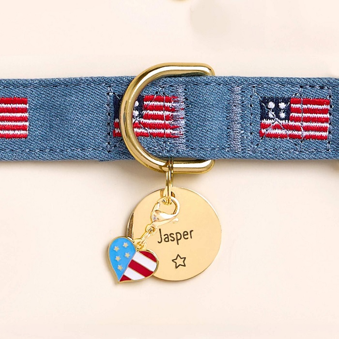 The Foggy Dog 4th of July Collection