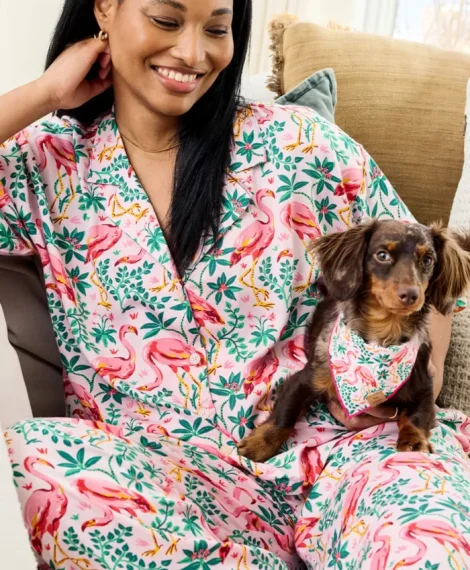 the foggy dog dog mom pjs