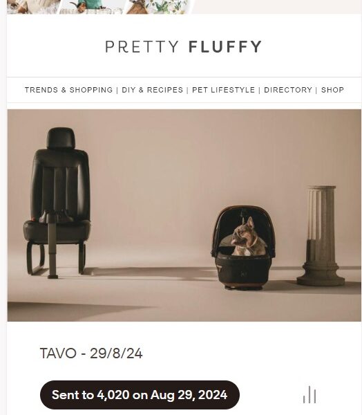 Dedicated Newsletter