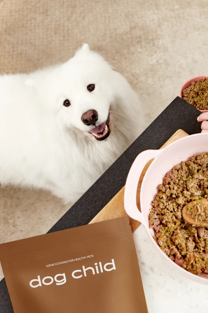 dog directory - dog food and dog treats -Dog Child