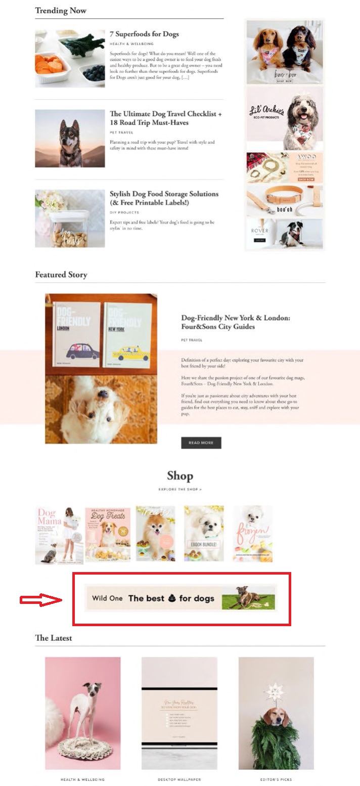 footer ad
