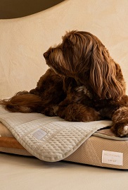 Shop Dog Lovers Directory- Dog Beds and Blankets - Laylo Pets