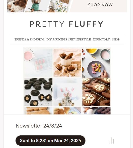 Newsletter Feature - Pretty Fluffy