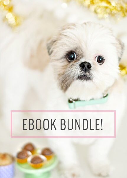 bundel ebook cover