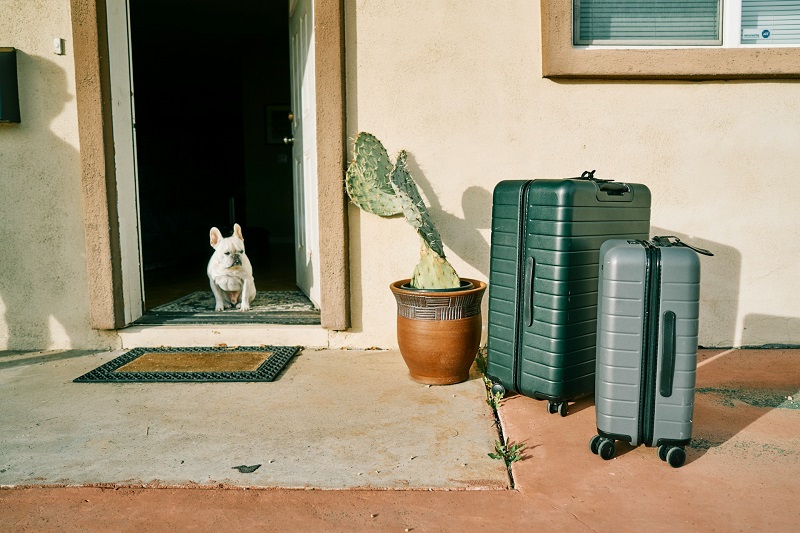 How to Find Pet-Friendly Accommodation in the UAE