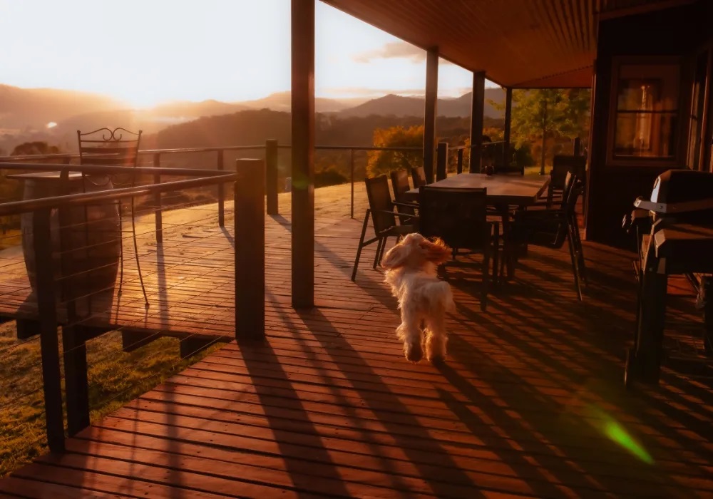 pet parents preparing for stress free vacation