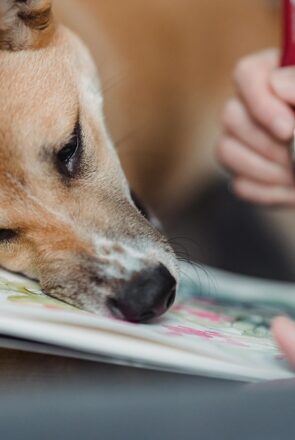 Turning Your Dog’s Cutest Photo Into Art