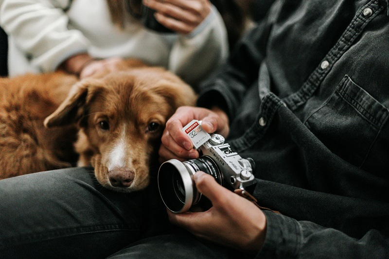Discover how to turn your love for dogs into a career as a pet lifestyle influencer. Learn how to create authentic content, grow your audience, and monetize your passion.