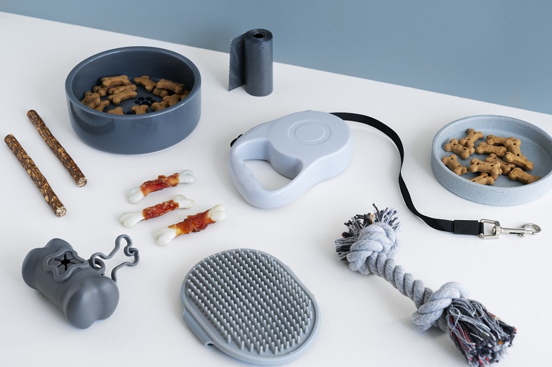 DIY Learning Projects for Dog Lovers