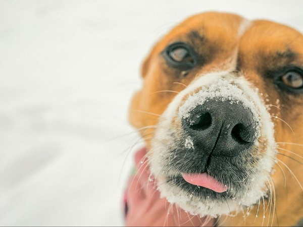 Photo by Mike Kilcoyne from Unsplash