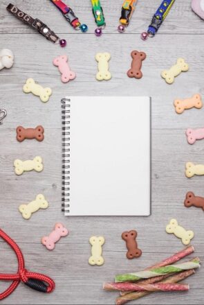 DIY Learning Projects for Dog Lovers