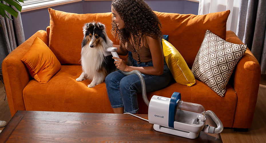 Review: oneisall Pet Grooming Kit & Vacuum