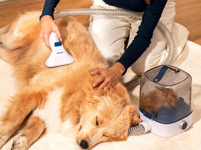 oneisall Cordless Dog Grooming Vacuum Kit