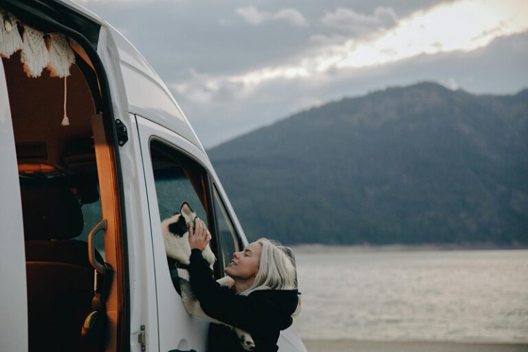 RV Camping With Dogs: Tips for Safe, Calm Travel