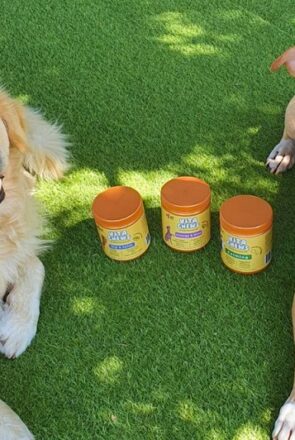 happydogco vitachews