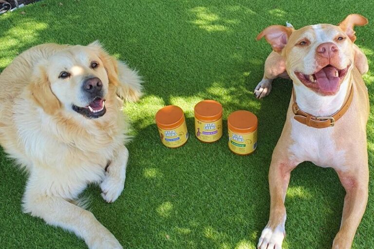 From Itchy Skin to Calm Days: Why Dog Owners Are Turning to VitaChews