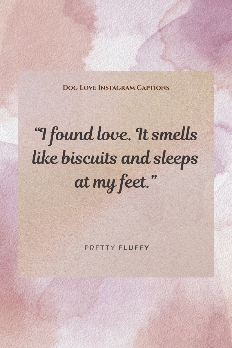 Dog Love Instagram Captions