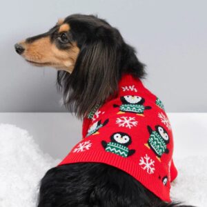 Fitwarm Penguin Snowflake Dog Sweater