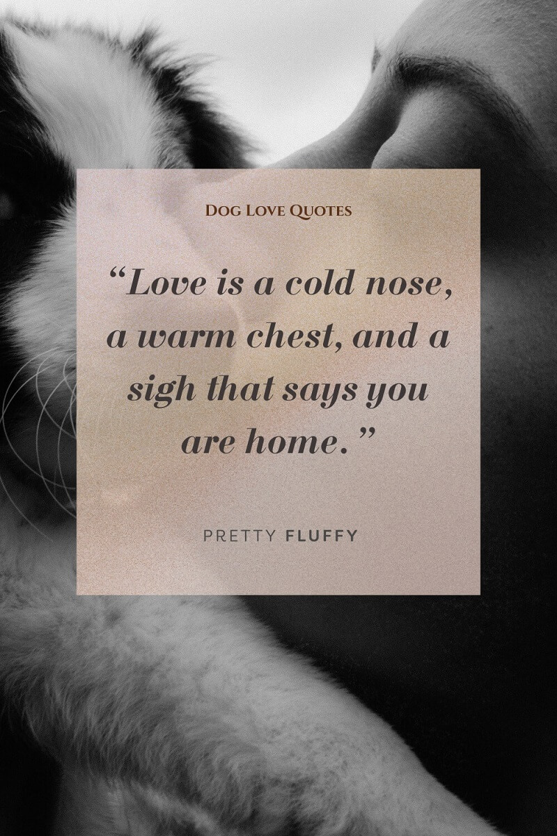 Dog Love Quotes
