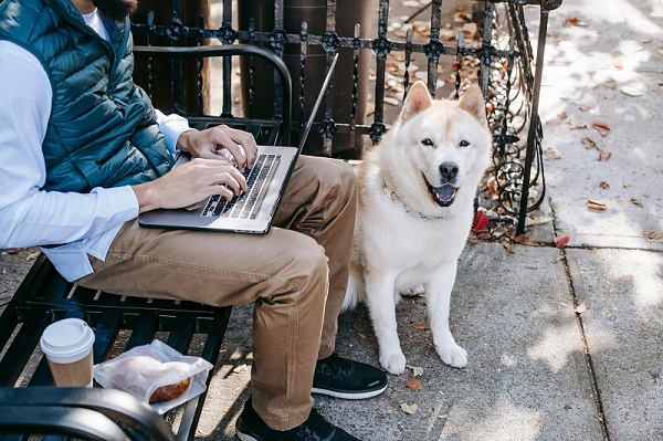 The Rise of Pet-Friendly Campuses: Why Students Love Studying with Their Pets