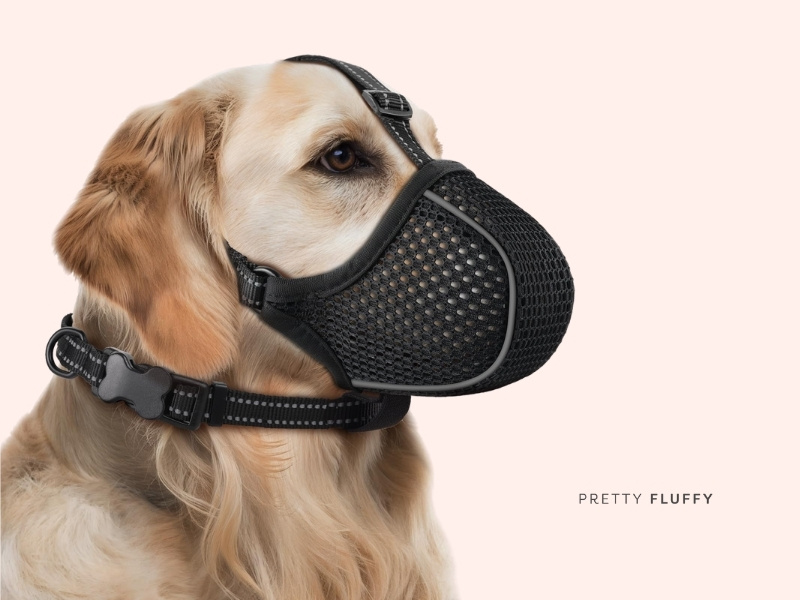 BONTHEE Dog Muzzle 
