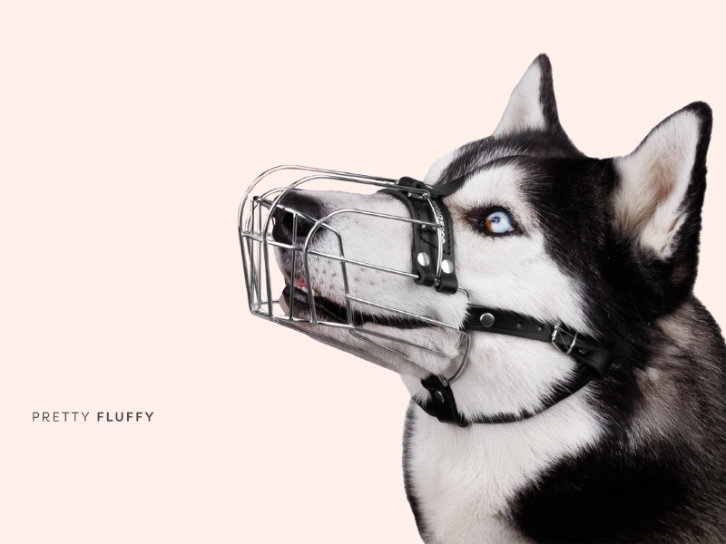 BRONZEDOG Dog Muzzle For Husky & Doberman 