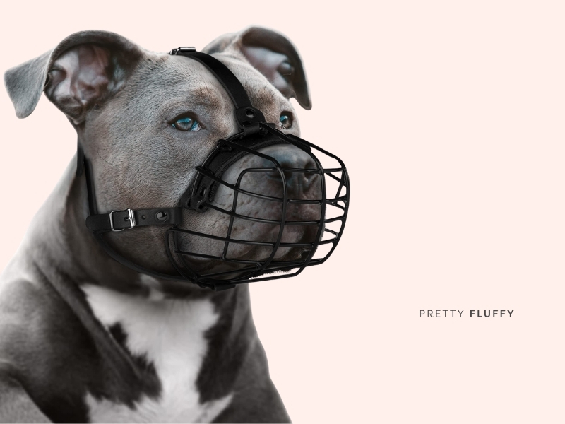 BUDKAS Pitbull Dog Muzzle 