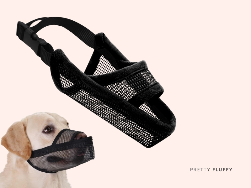 Crazy Felix Nylon Dog Muzzle 