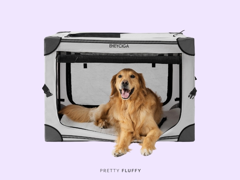 EHEYCIGA Collapsible Dog Crate