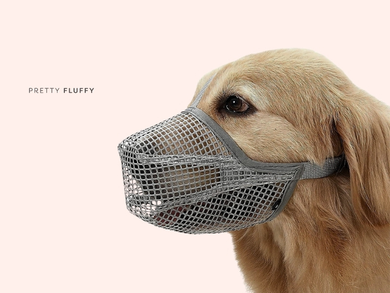 Edge Collections Pet Muzzle Mask 