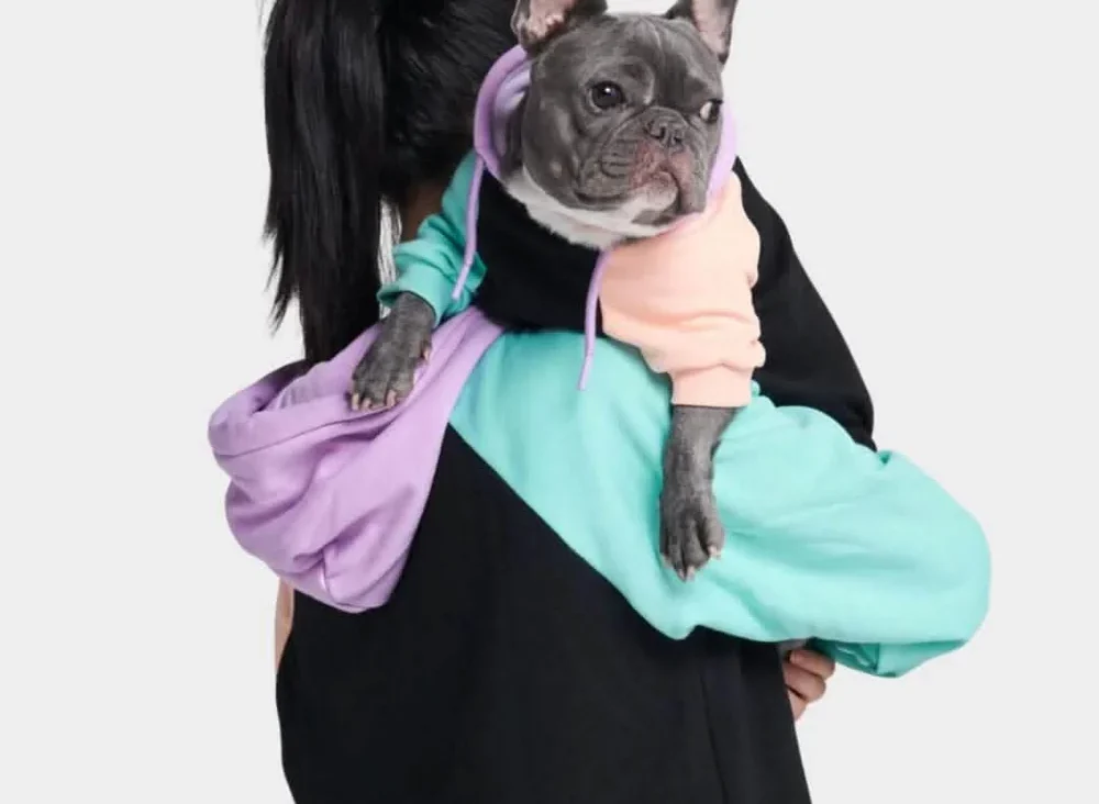 How Dog Clothing Brands Are Merging Comfort with Style 