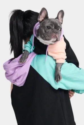 How Dog Clothing Brands Are Merging Comfort with Style 