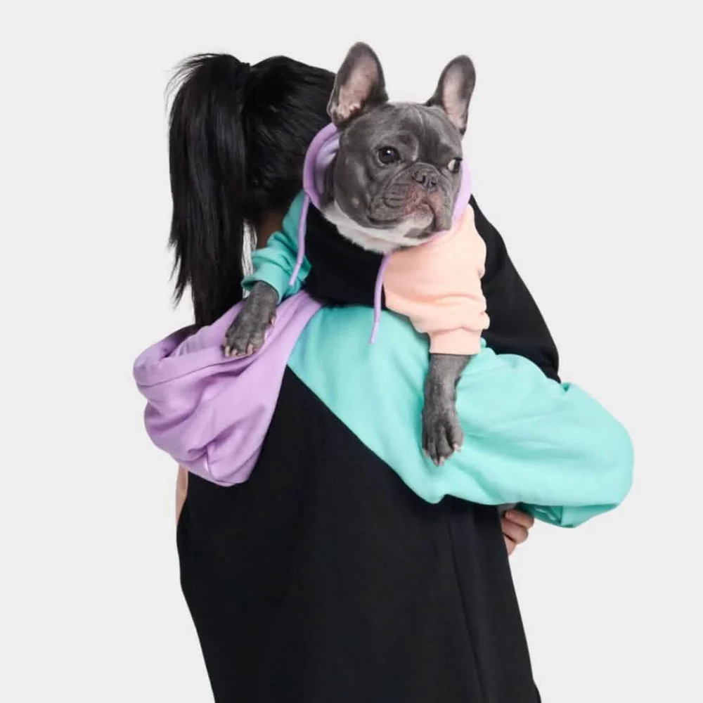 How Dog Clothing Brands Are Merging Comfort with Style 