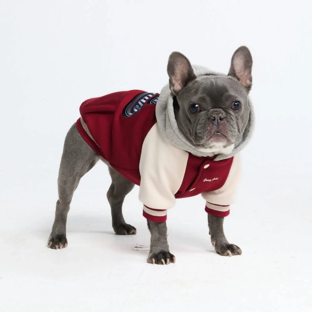 How Dog Clothing Brands Are Merging Comfort with Style 