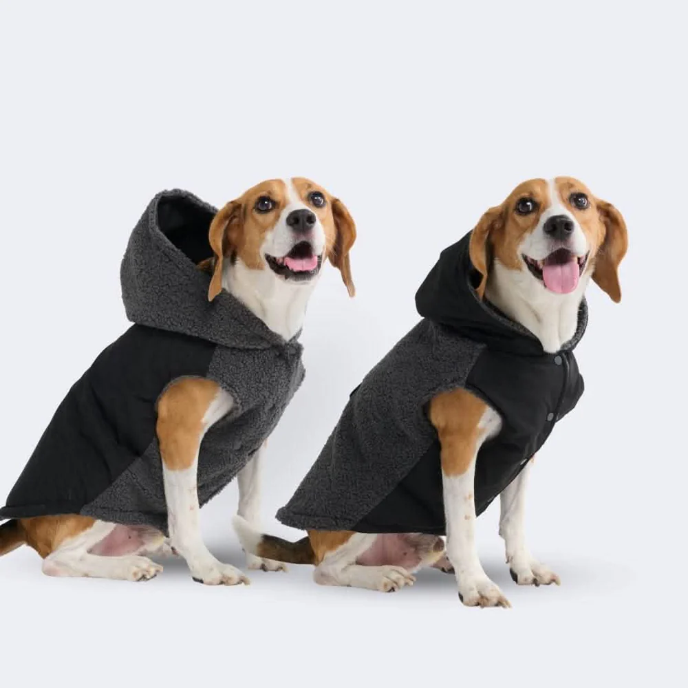 How Dog Clothing Brands Are Merging Comfort with Style 