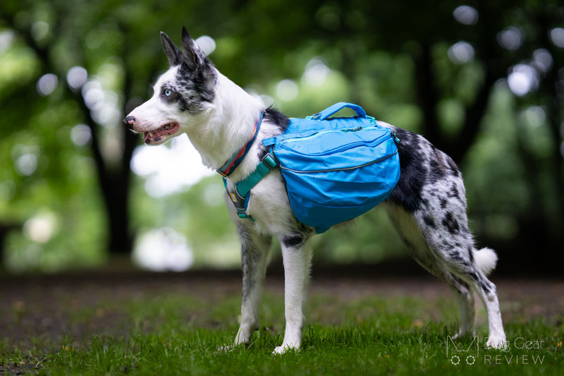 Ruffwear winter gear