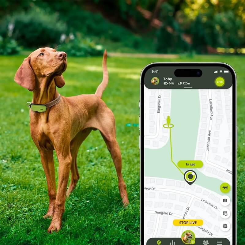Kippy Dog GPS Tracker and Activity Monitor