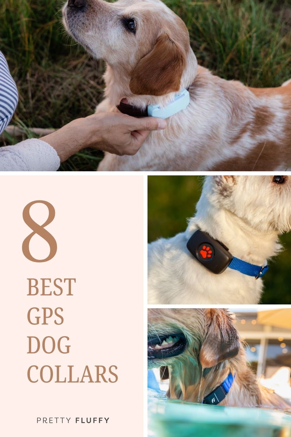 best gps dog collars 