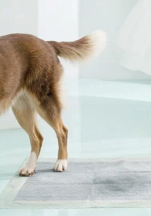 Ivy Bronx Pee Pads - best puppy pads