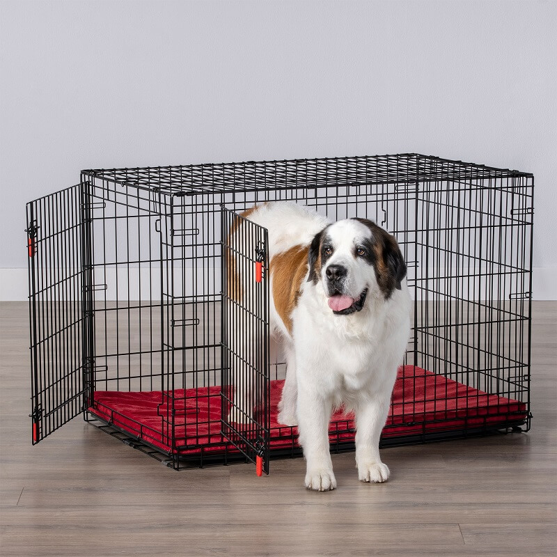KONG Double Door Wire Dog Crate