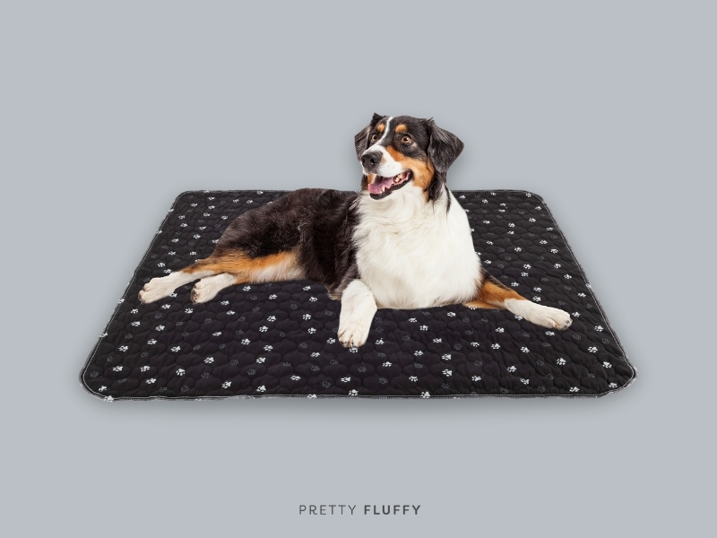 PETMAKER Washable Pee Pads