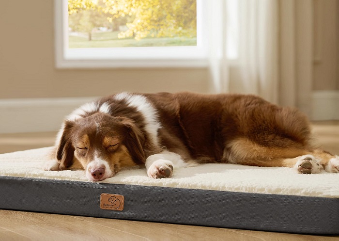 Bedsure Flat Dog Bed