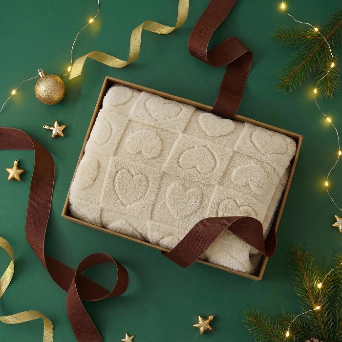 Bedsure Washable Dog Blanket