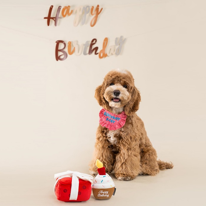 CHEWFFON Dog Birthday Toy